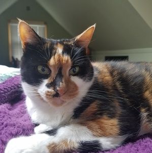 Meet your Posher, Cindy